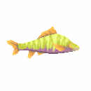 School Of Greenhorn Gorbu